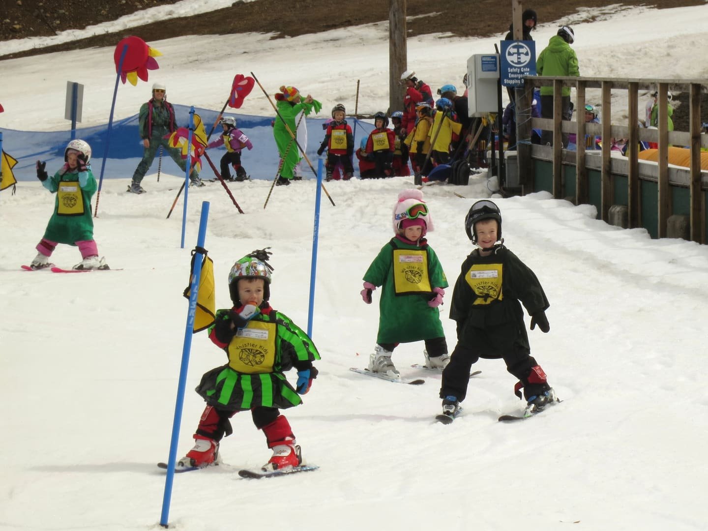 Small children in ski-school bibs learning to ski