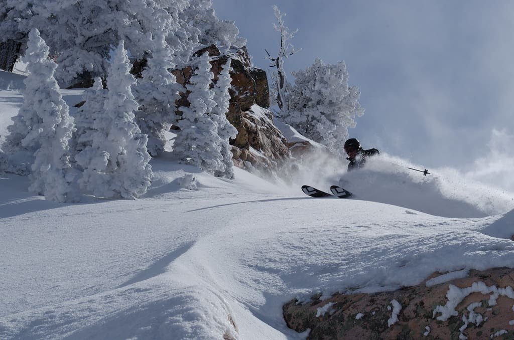 A skier making turns through untracked powder between snow-laden trees