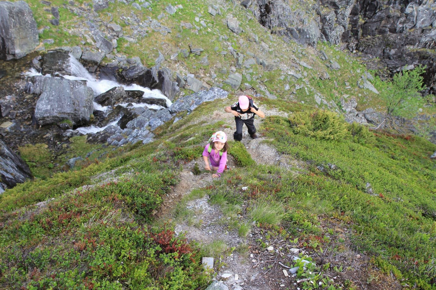 Two walkers on a flower-covered slope high above a valley