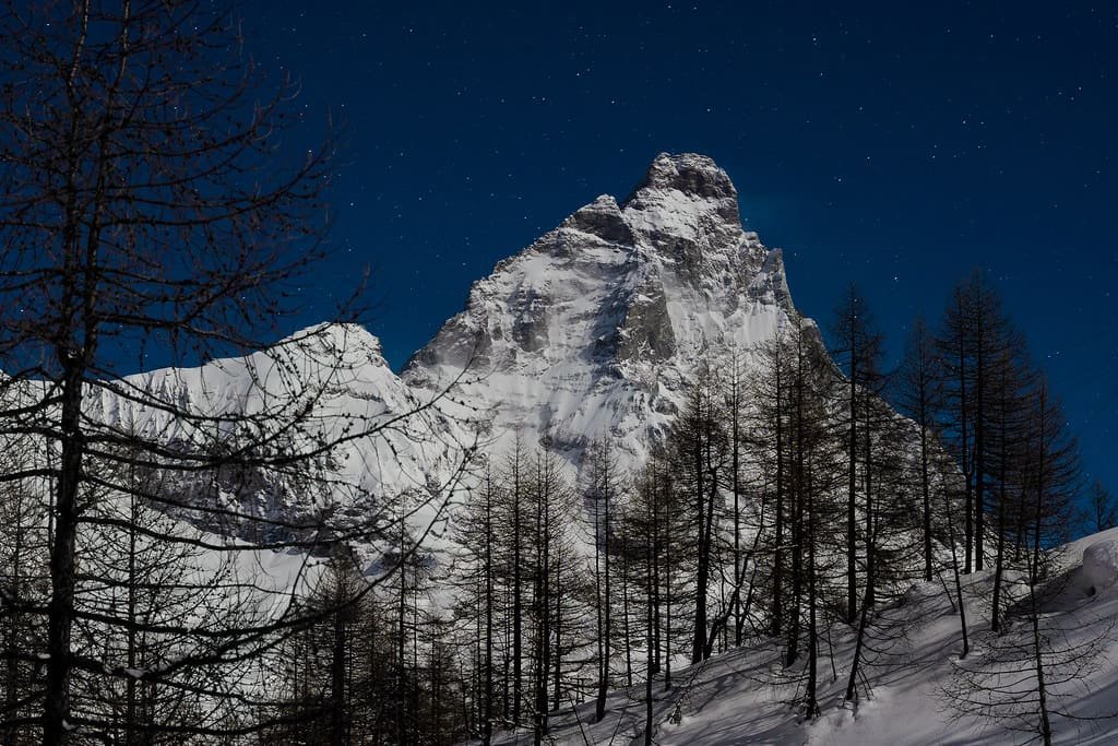The Cervino at blue hour behind a stand of larch