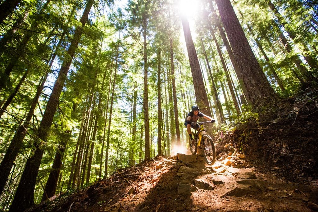 Un biker in discesa su un sentiero nel bosco, tra le lame di luce