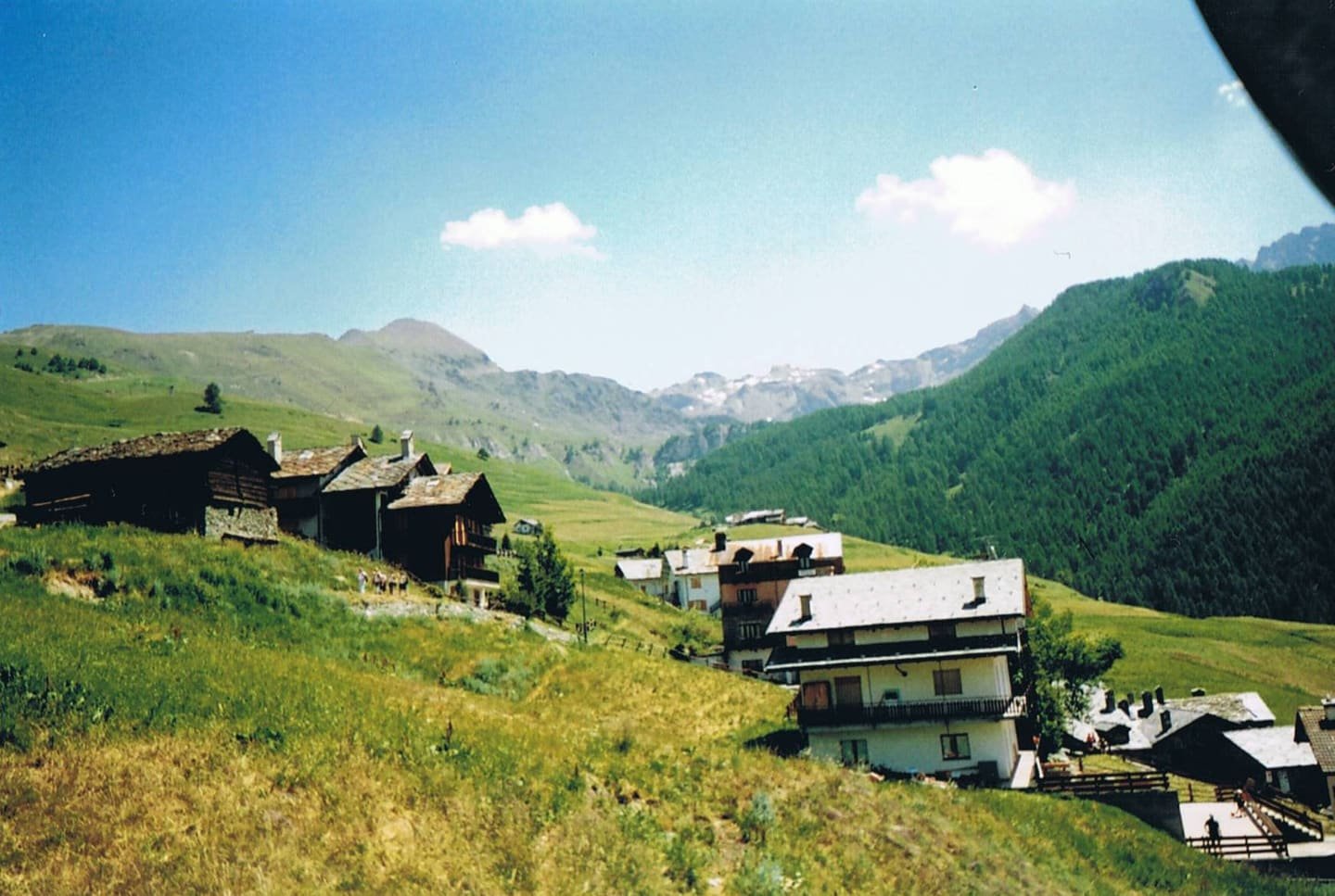 A cluster of dark timber houses on a green alpine slope